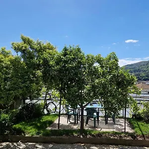 La Strelizia Marina dʼAndora